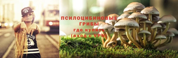 ГАЛЛЮЦИНОГЕННЫЕ ГРИБЫ Арсеньев