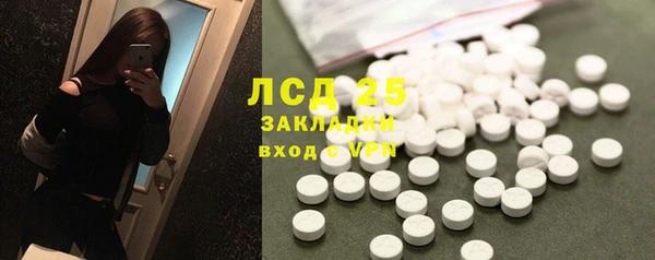 ГАЛЛЮЦИНОГЕННЫЕ ГРИБЫ Арсеньев