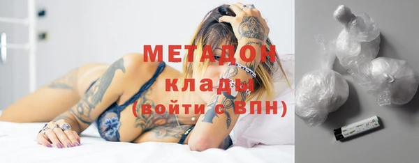 индика Ельня